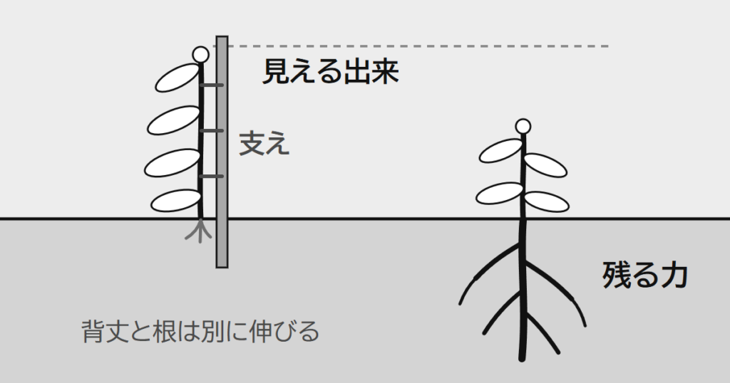 支え棒で高く伸びた草は根が浅く、支えのない草は背が低くても根が長く伸びている。見える出来とあとまで残る力を、背丈と根に見立てた絵